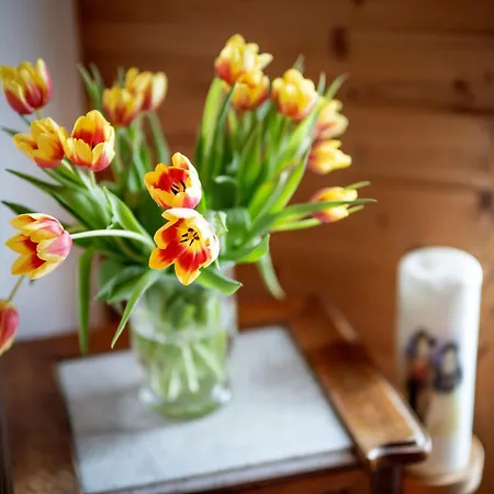 Berggasthof Geislerhof منزل للإقامة *